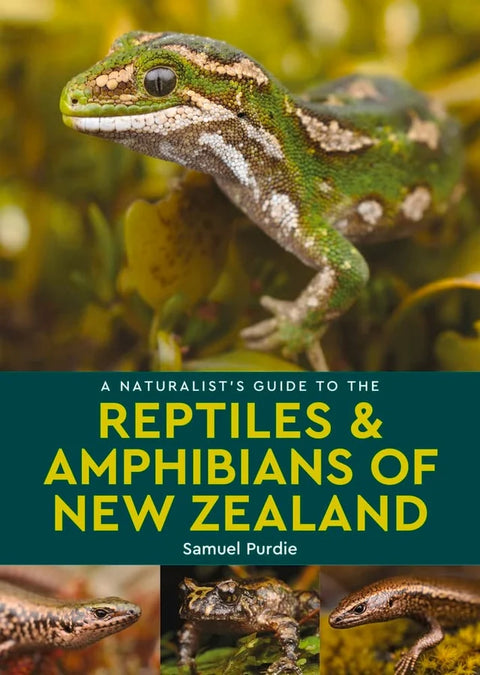 Naturalist's Guide to the Reptiles & Amphibians of New Zealand