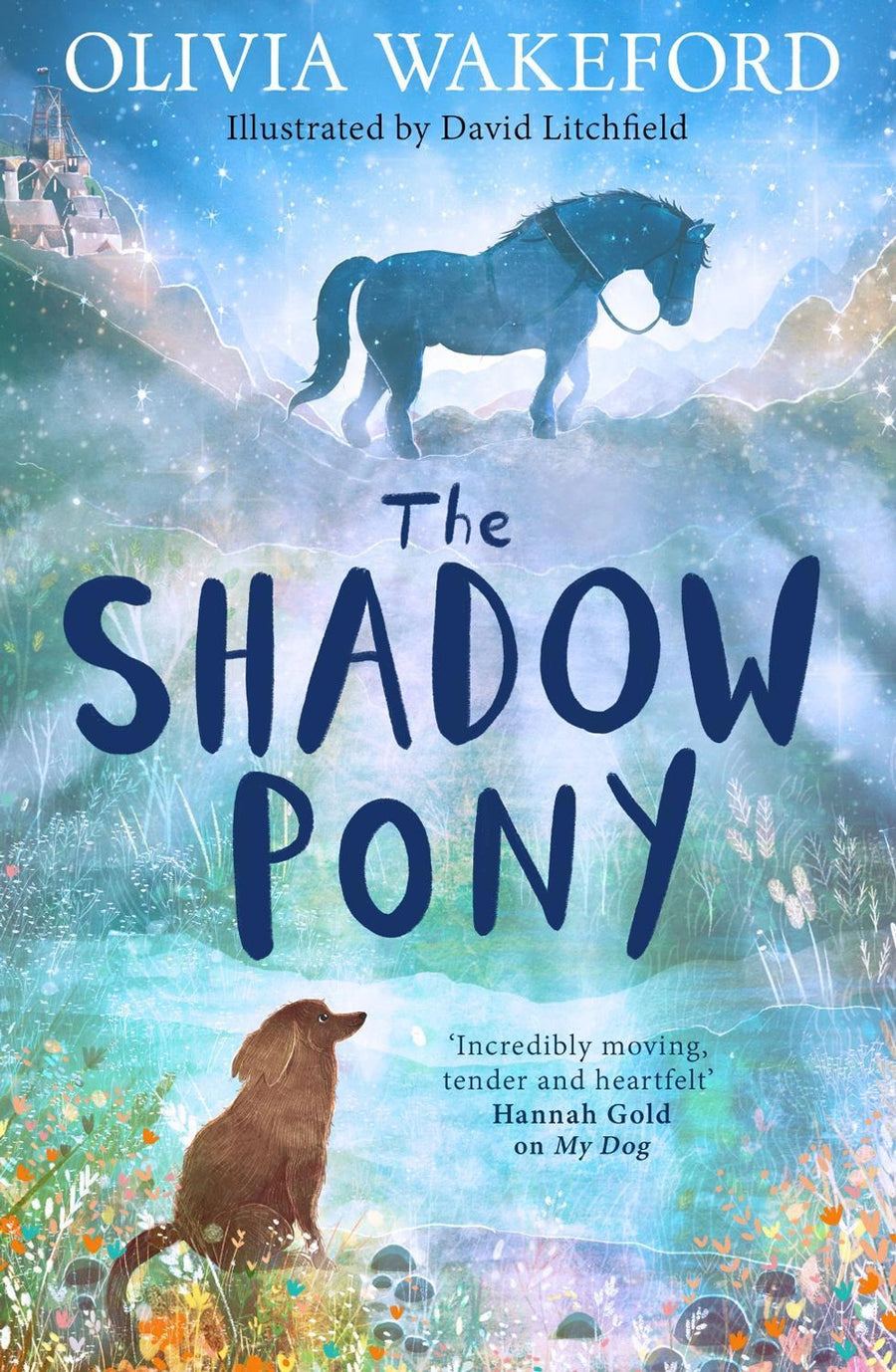 Shadow Pony, The