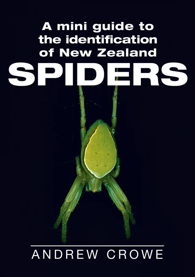 Mini Guide to Identification of New Zealand Spiders