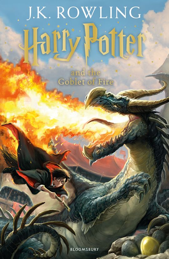 Harry Potter & The Goblet of Fire (2014)