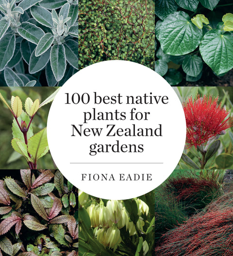 100 best native plants for NZ