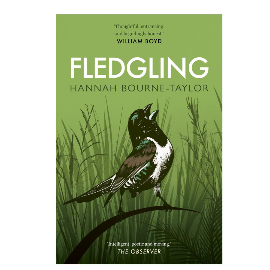 Fledgling (B)