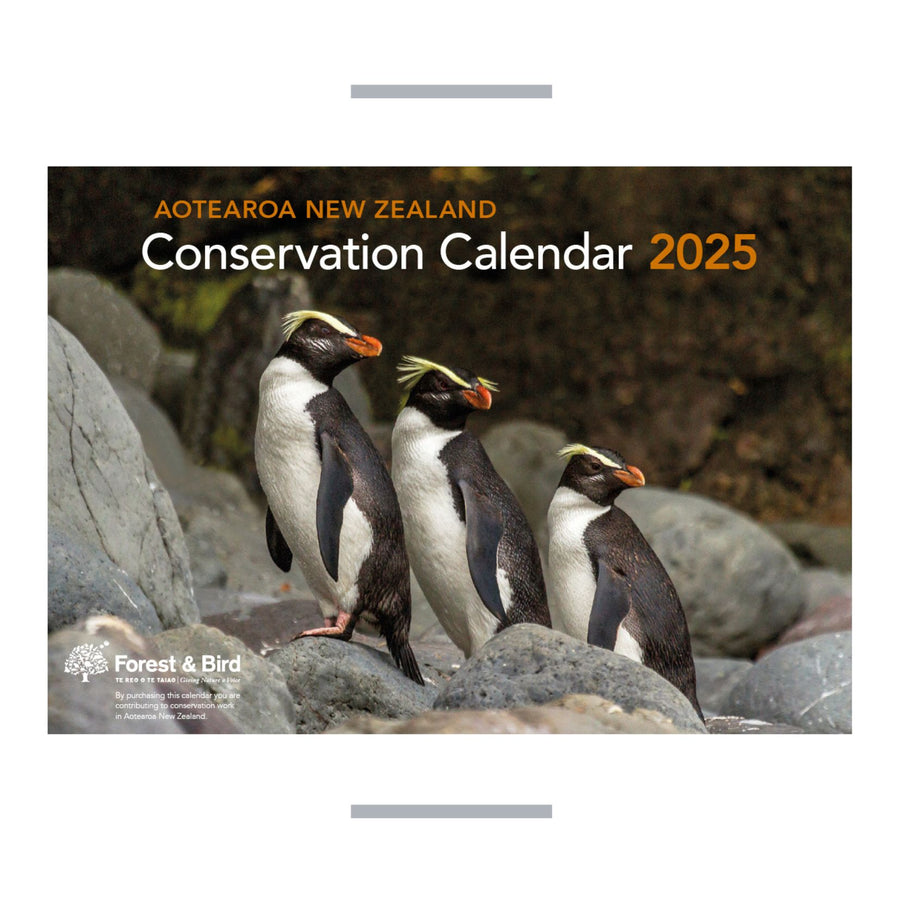 2025 Calendar New Zealand Conservation