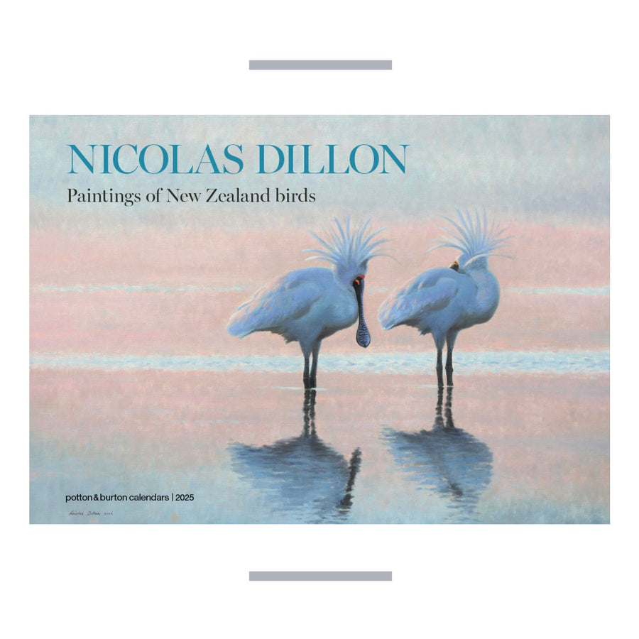 2025 Calendar Nicolas Dillon