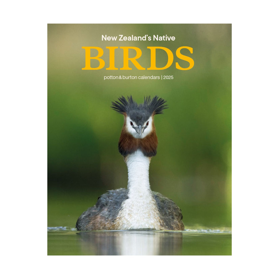2025 Calendar New Zealand Native Birds