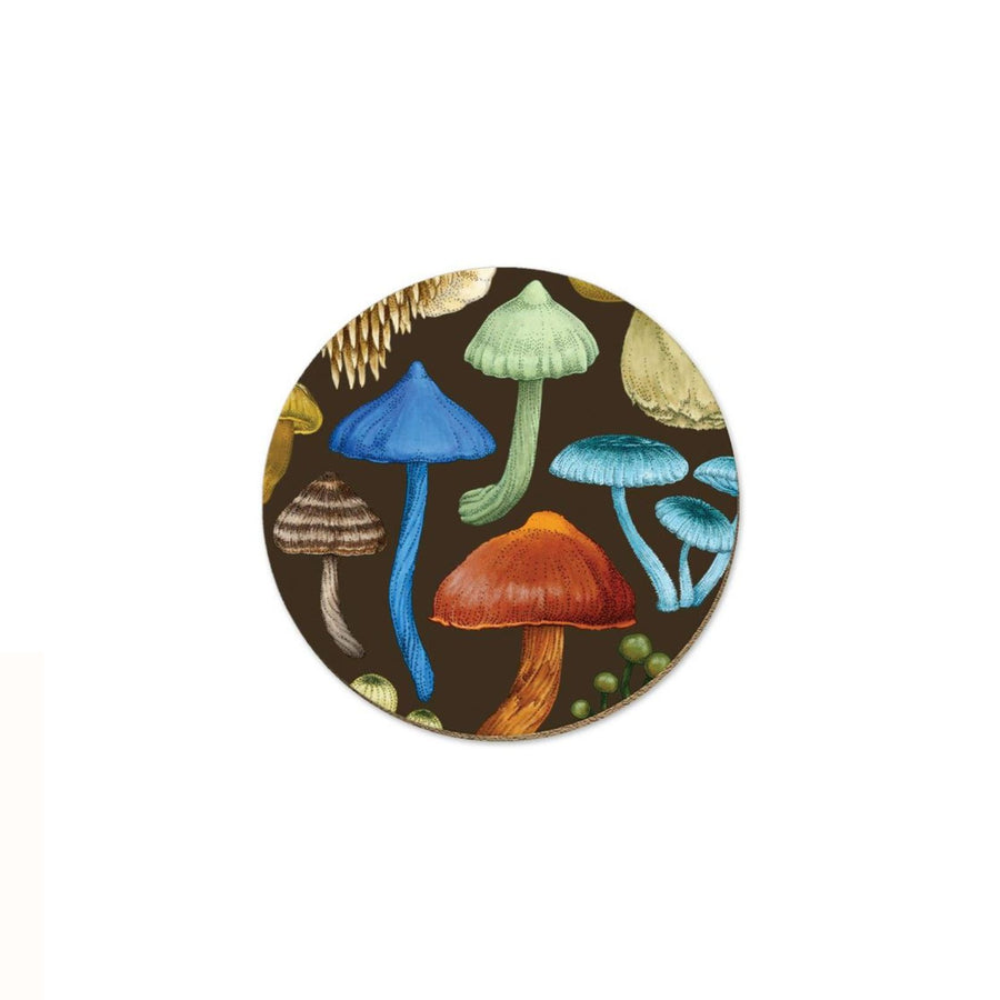 NZ Fungi Entoloma Coaster