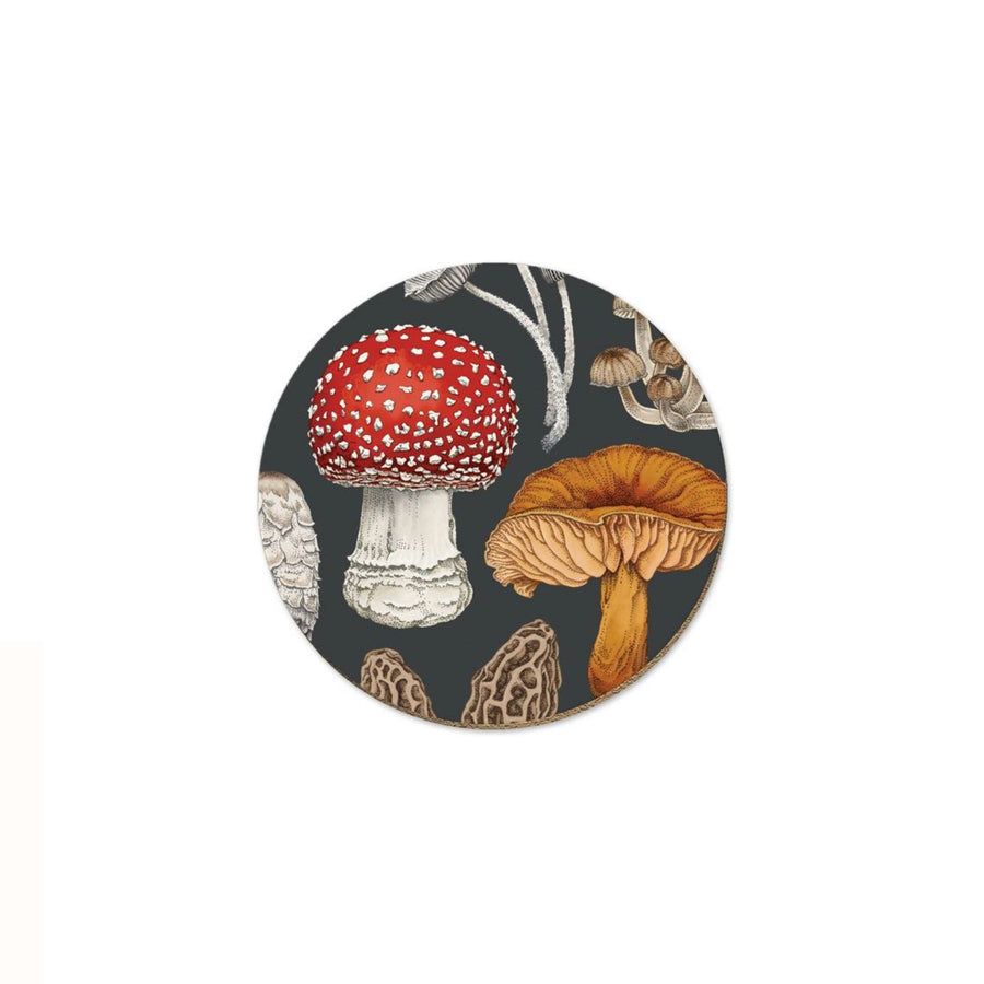 NZ Fungi Morchella Coaster