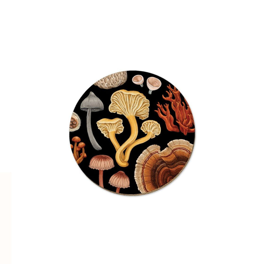 NZ Fungi Bolete Coaster