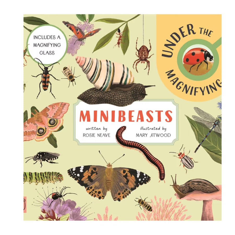 Minibeasts: Under the Magnifying Glass