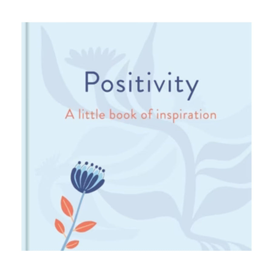 Little Book Of Positivity