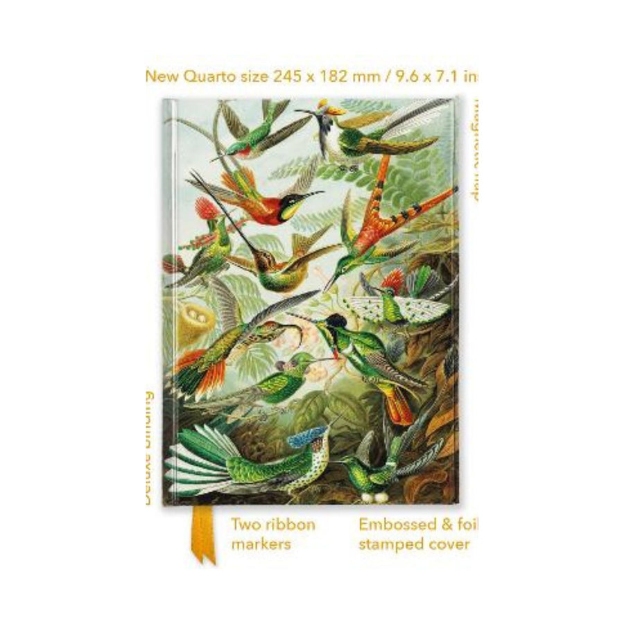 Ernst Haeckel Hummingbirds Quarto Notebook