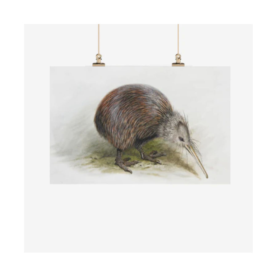 George Lodge Kiwi Tea Towel