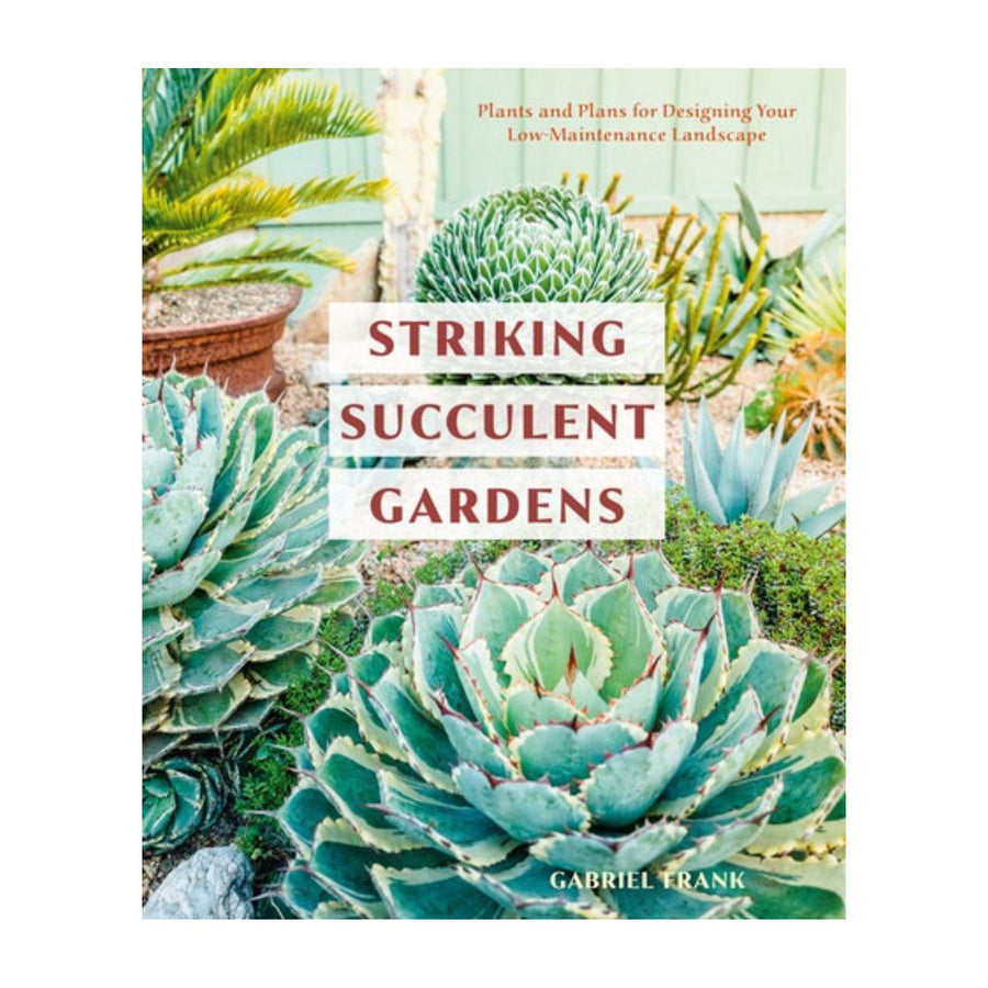 Striking Succulent Gardens