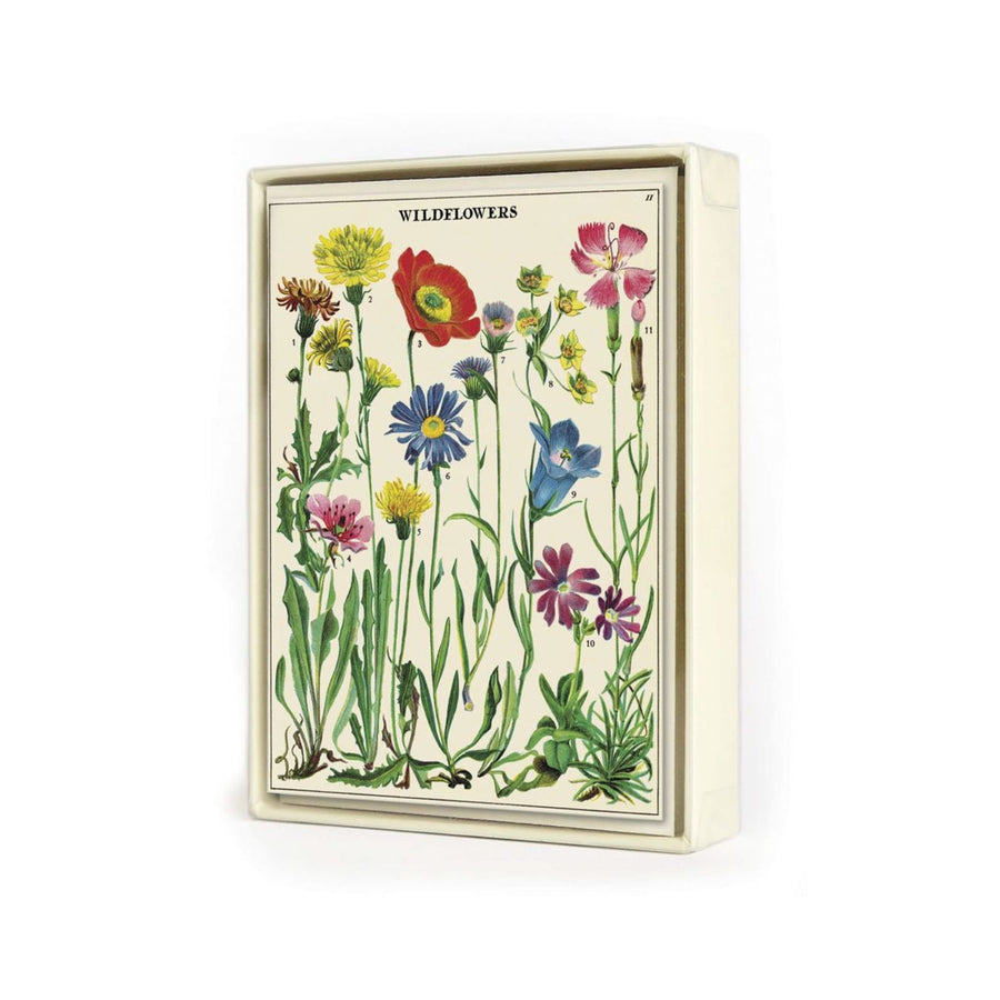 Wildflowers Boxed Notecards 4x2
