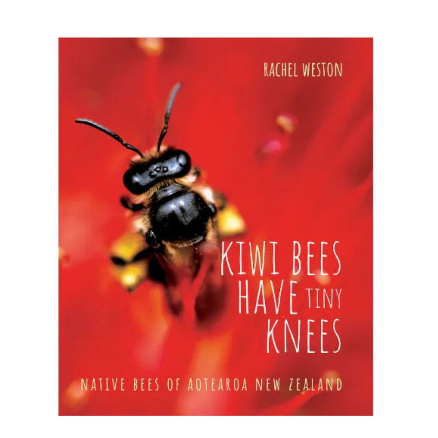 Kiwi Bees Have Tiny Knees