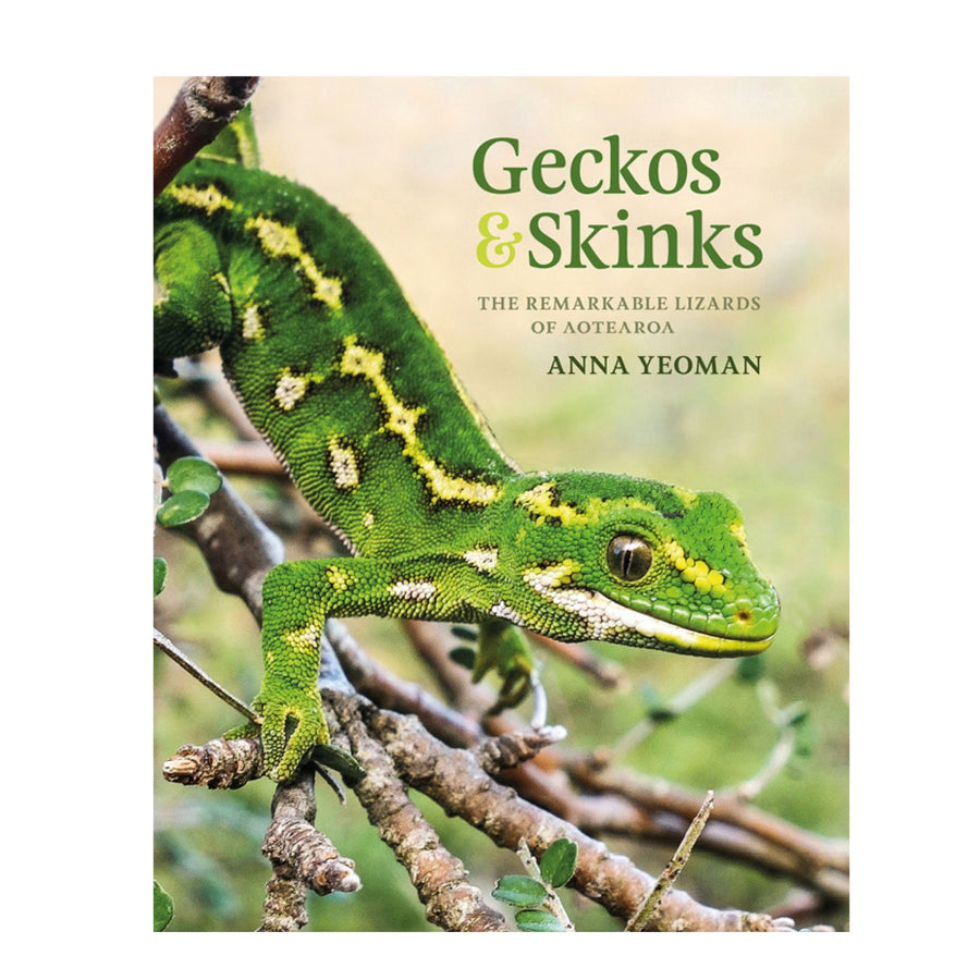 Geckos & Skinks