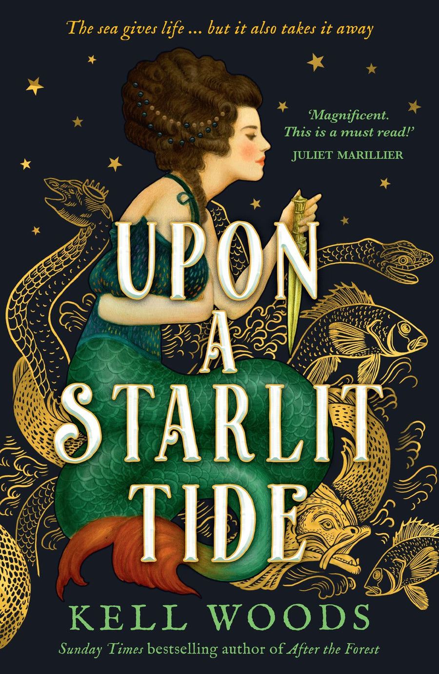 Upon A Starlit Tide