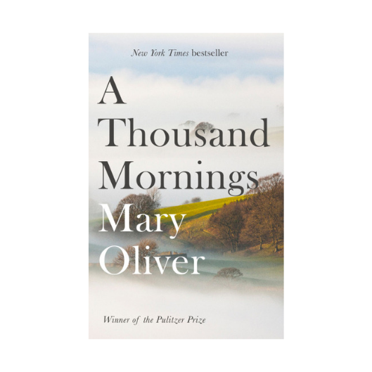 A Thousand Mornings