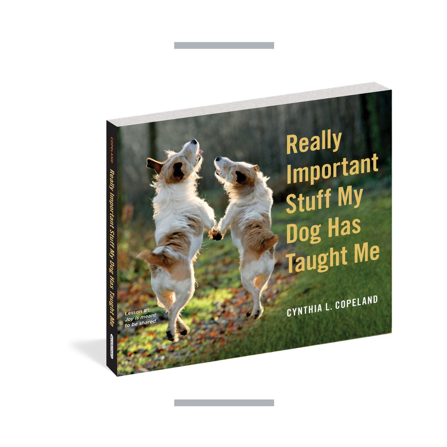 Really Important Stuff My Dog Has Taught Me