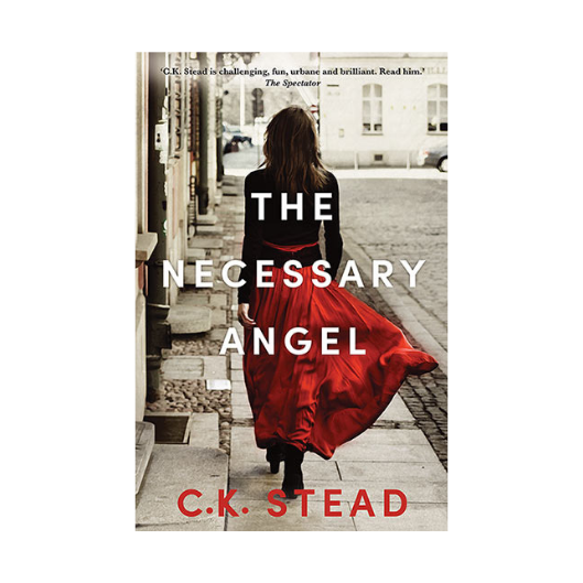 Necessary Angel