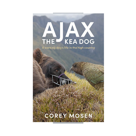 Ajax the Kea Dog