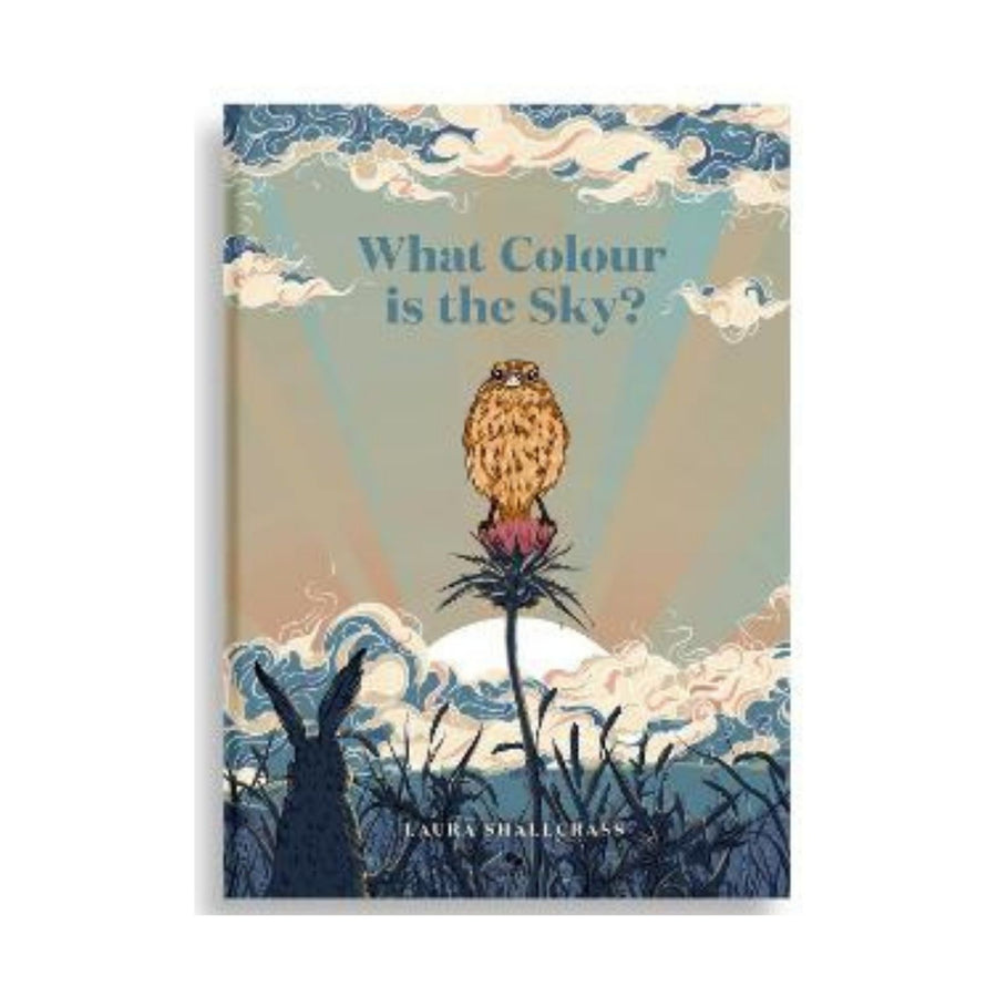 What Colour Is The Sky