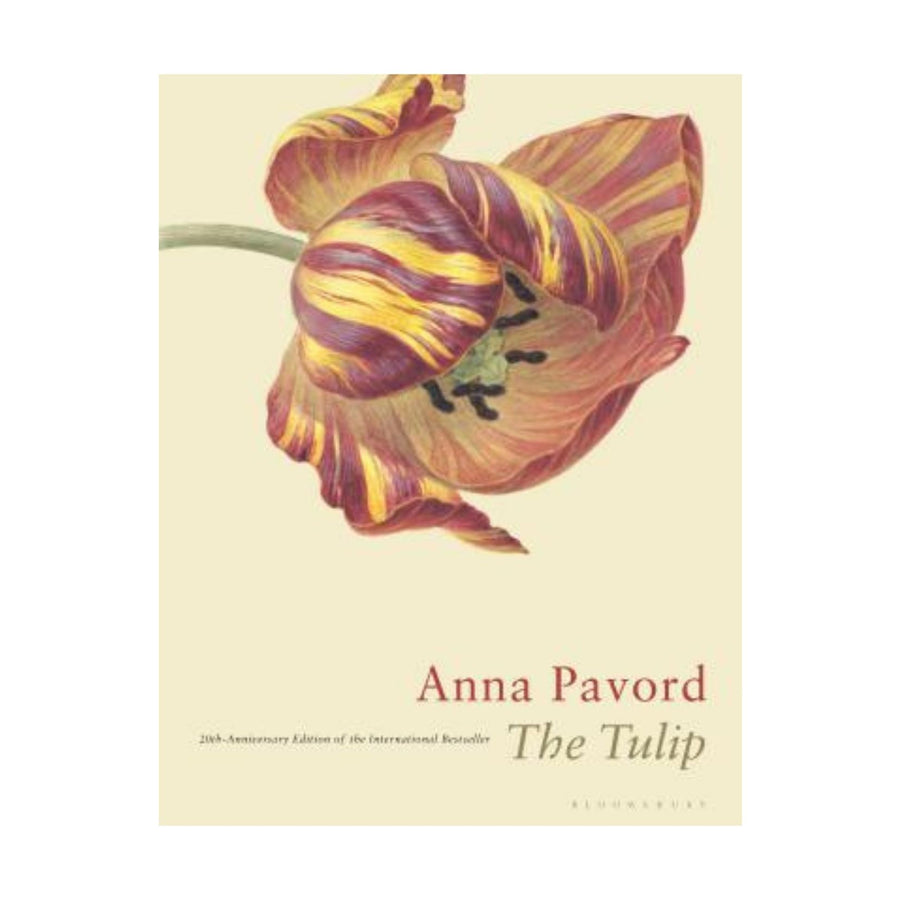 The Tulip