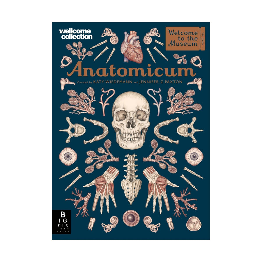Anatomicum (L)