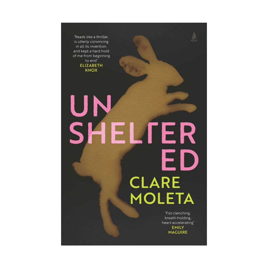 Unsheltered (novel)