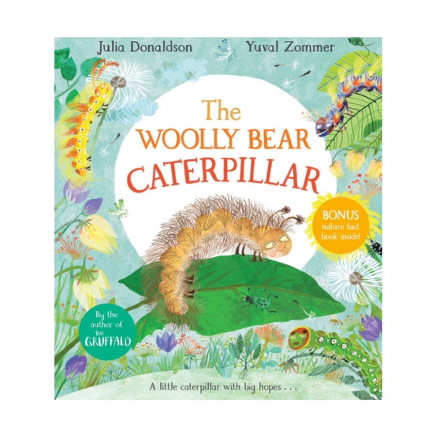 Woolly Bear Caterpillar, The
