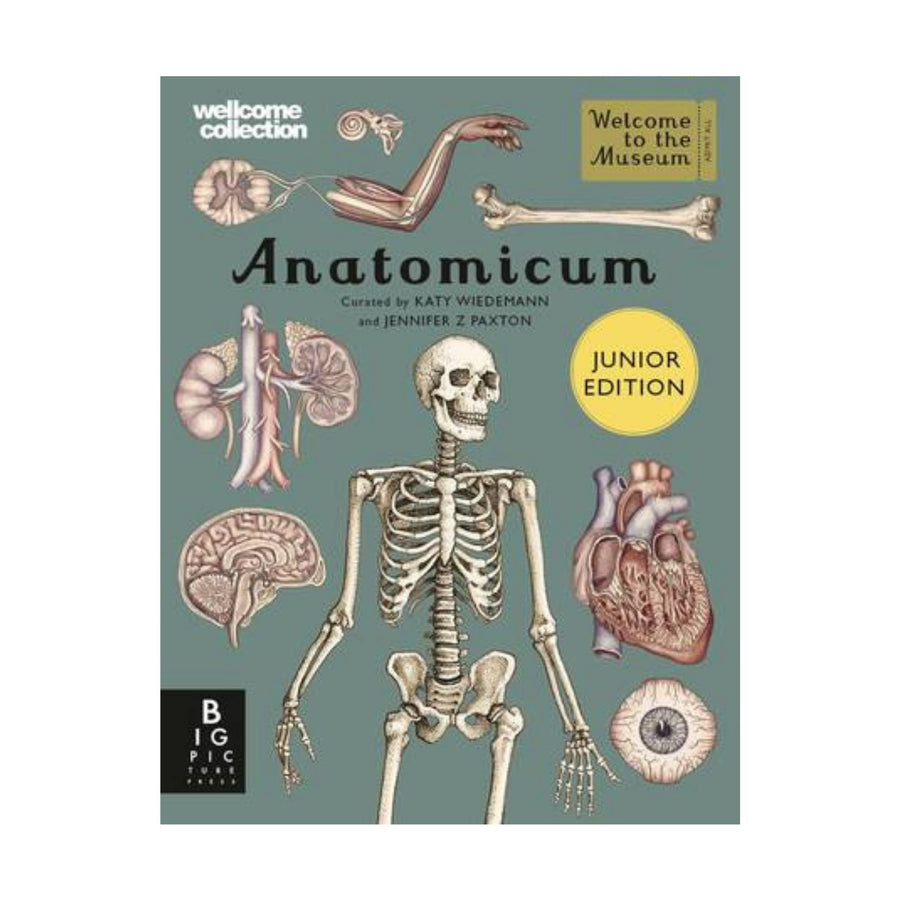 Anatomicum Junior