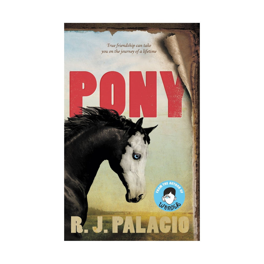 Pony (HB)