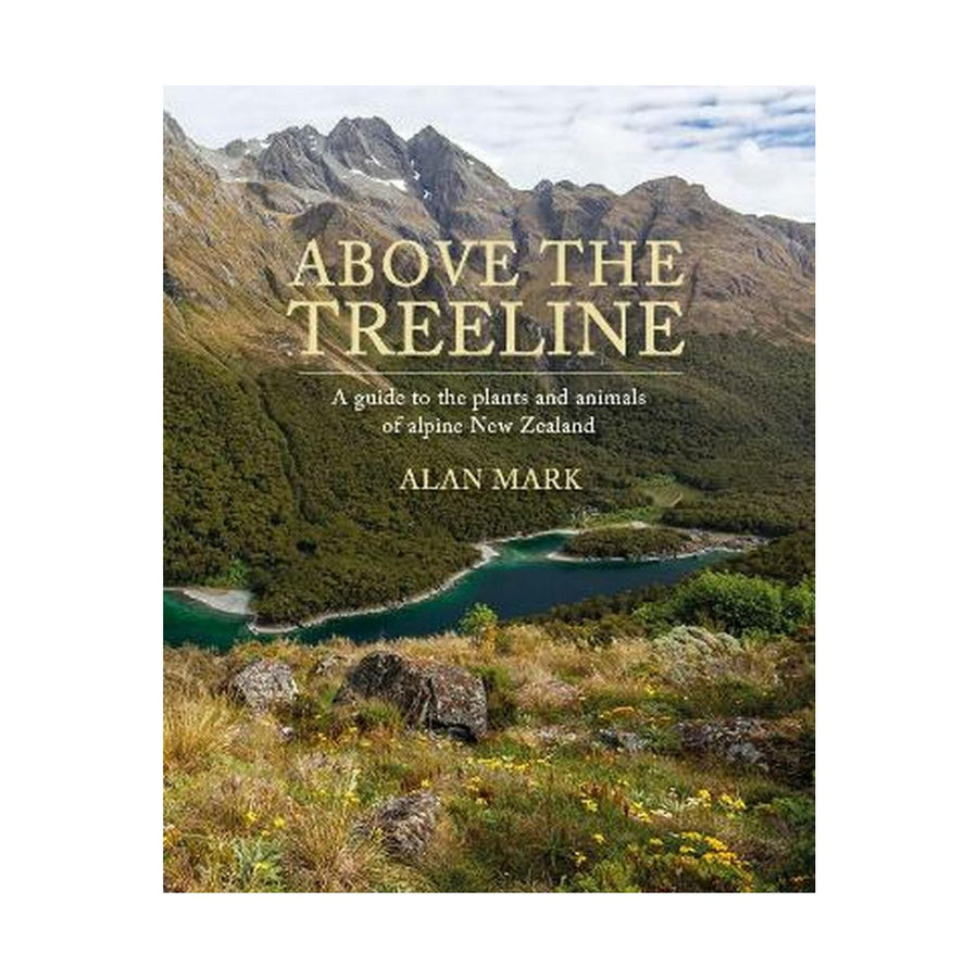 Above The Treeline