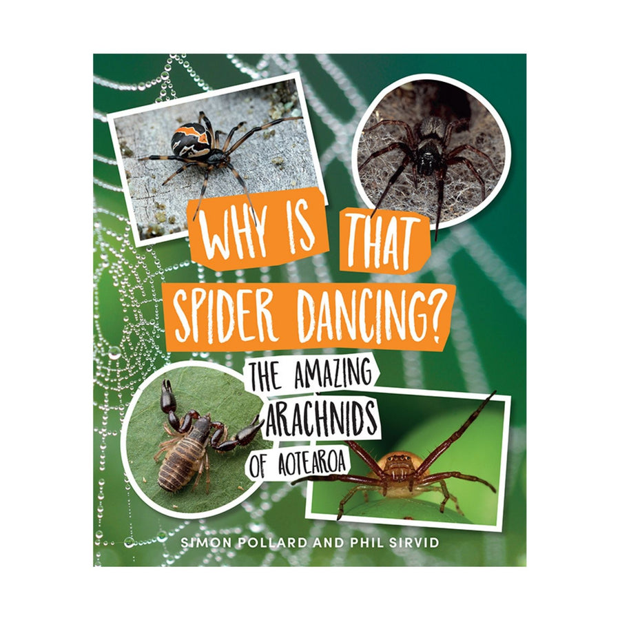 Why Is That Spider Dancing?