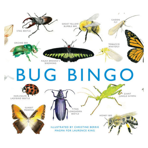 Bug Bingo