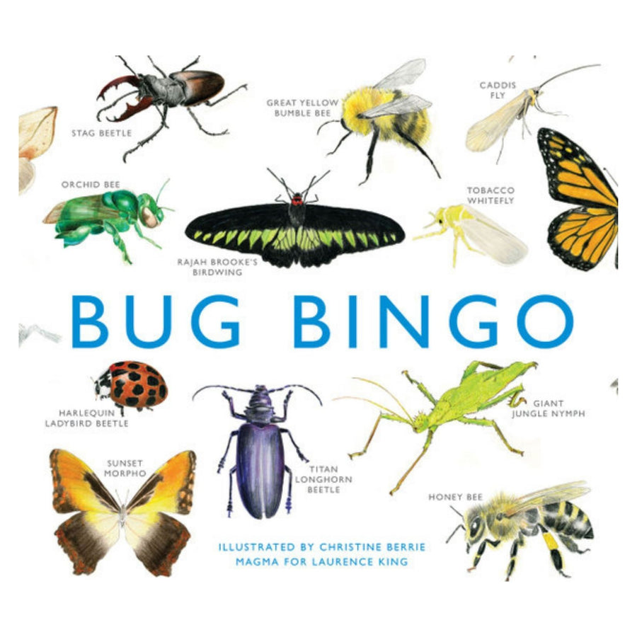 Bug Bingo