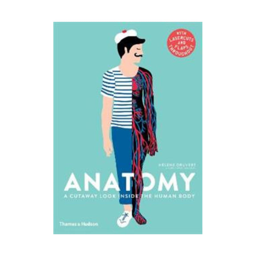 Anatomy, A Cutaway Look Inside the Human Body
