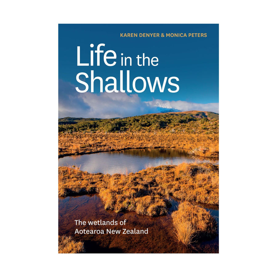 Life In The Shallows