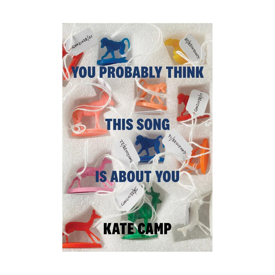 You Probably Think This Song Is About You
