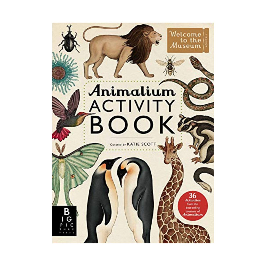Animalium Activity Book