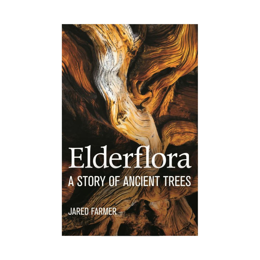 Elderflora - Modern History of Ancient Trees