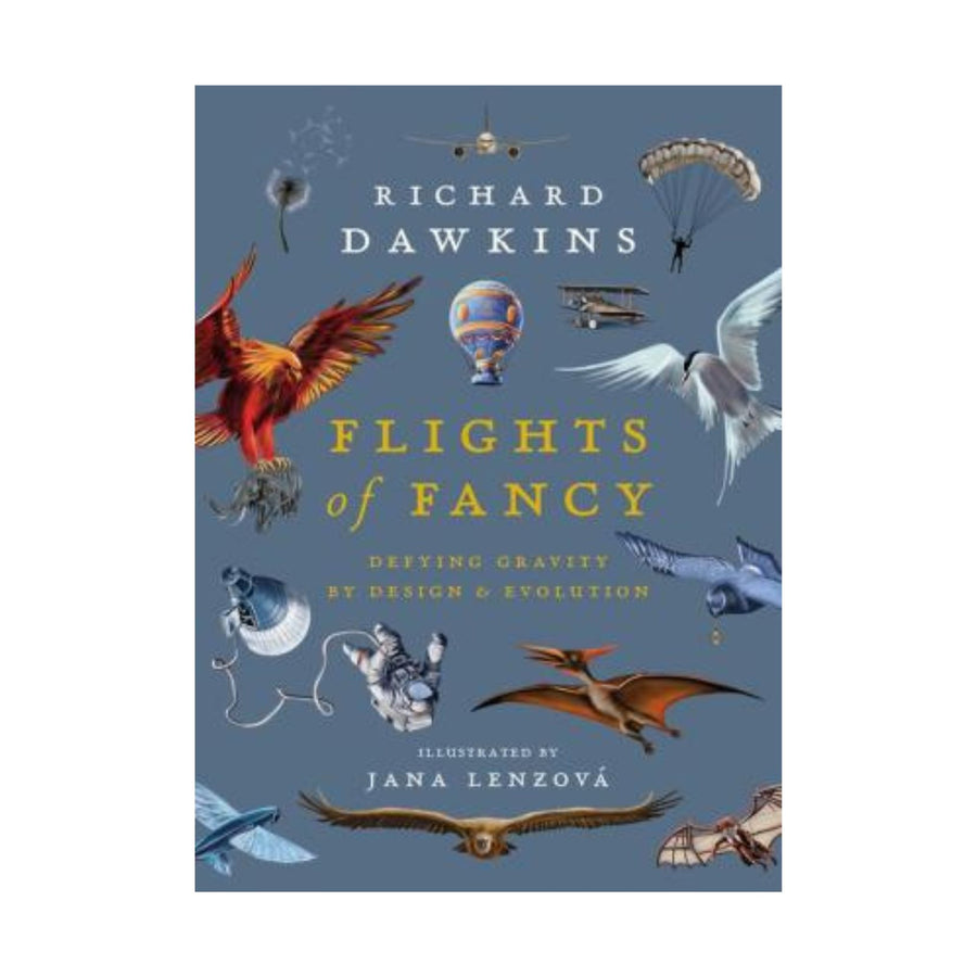 Flights of Fancy