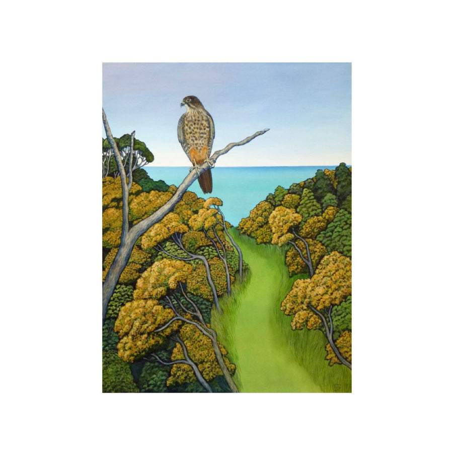 YOUNG KAREAREA AND THE GOLDEN GORSE