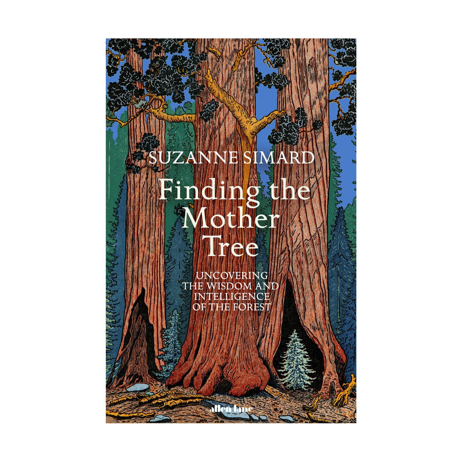 Finding The Mother Tree, (B)