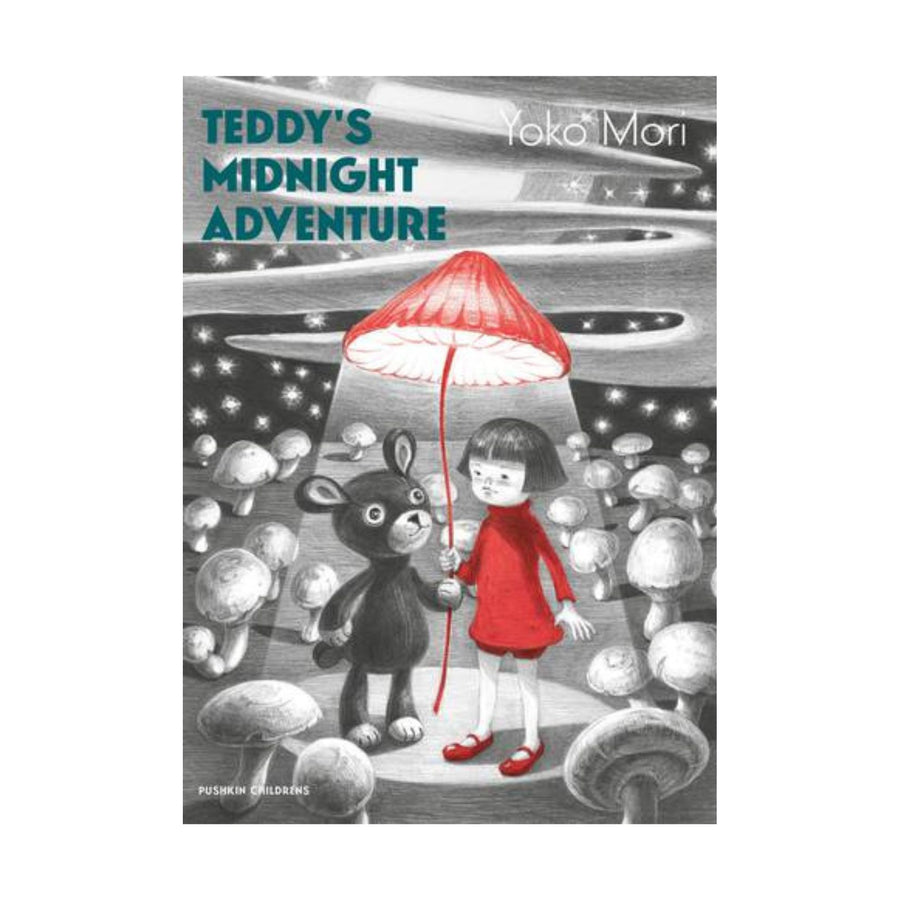 Teddy's Midnight Adventure