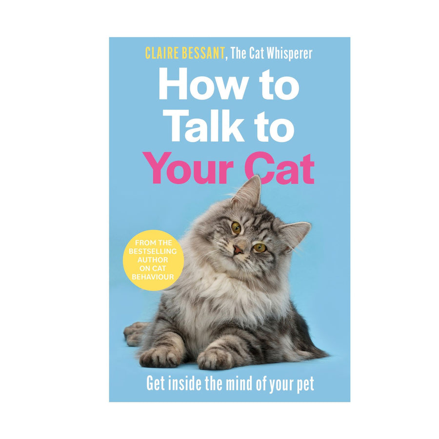 How to Talk to Your Cat