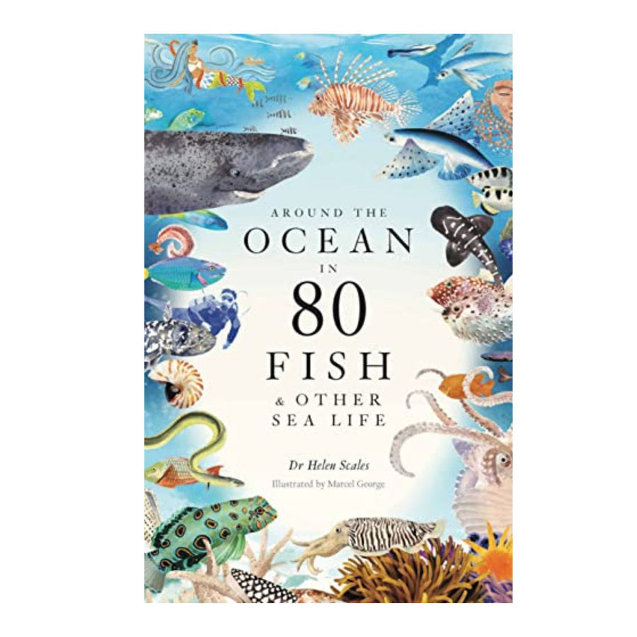 Around the Ocean in 80 Fish & Other Sea Life