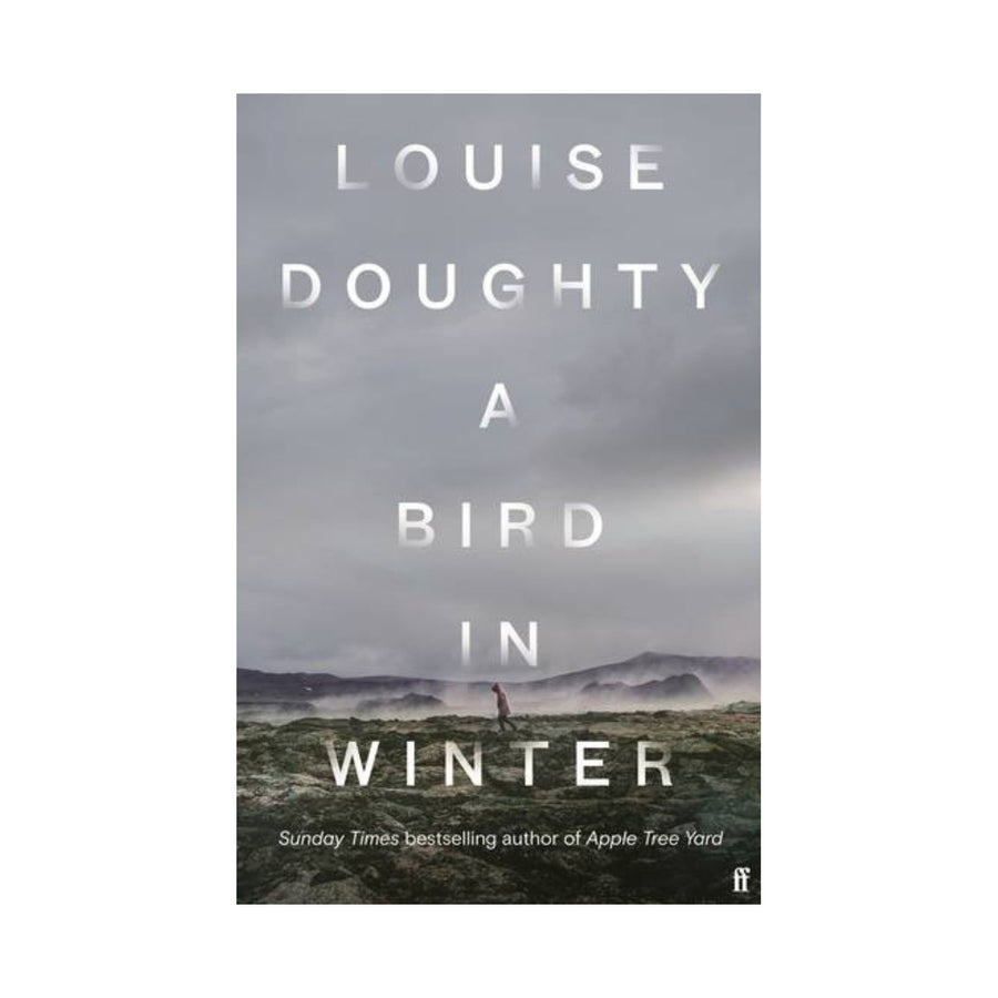 Bird in Winter, A