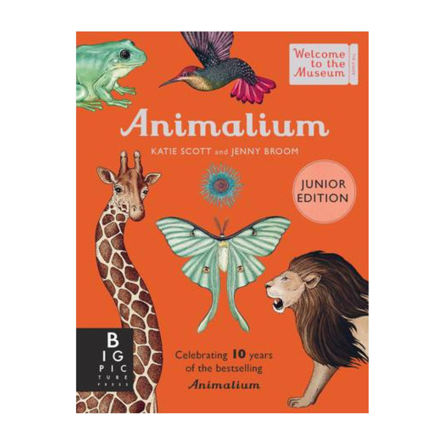 Animalium, Junior