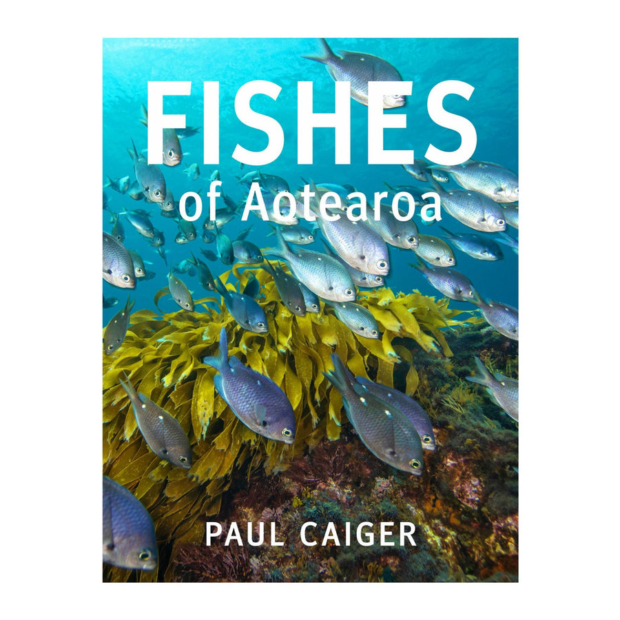 Fishes of Aotearoa